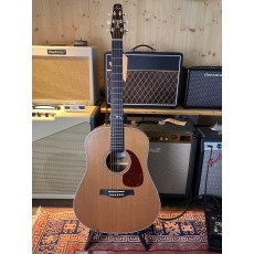 Seagull Artist Mosaic 